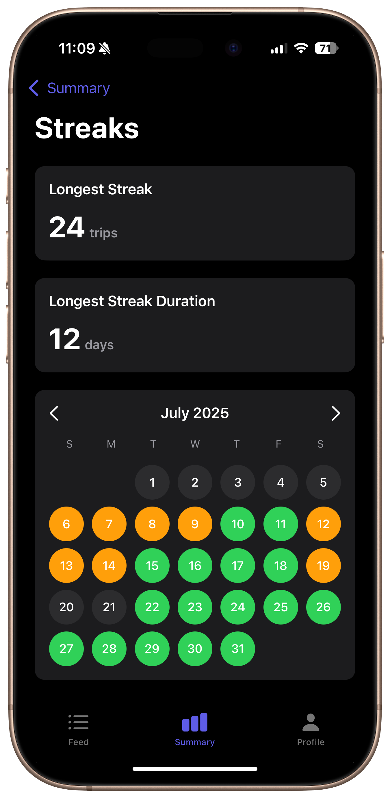 DriveZen streak tracking and calendar view showing safe driving patterns